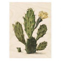 KEK Amsterdam Botanical Cactus Print op hout M Wanddecoratie & -planken Multicolor Hout
