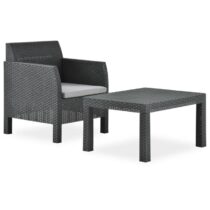 vidaXL 2-delige Loungeset met kussen PP rattan antracietkleurig Tuinmeubelen Grijs Polypropyleen